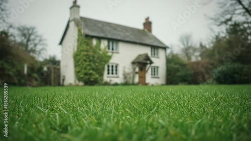 Wallpaper Mural A Scenic View of a White Cottage Surrounded by Lush Green Grass in a Peaceful Rural Environment, Showcasing a Tranquil Country Lifestyle Torontodigital.ca