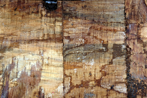 old wood texture