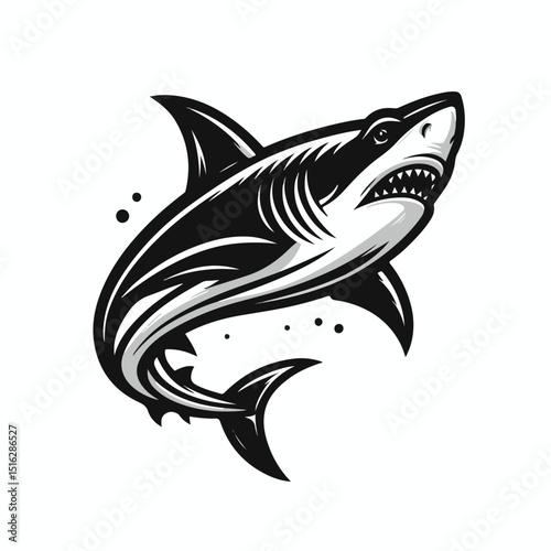 fierce shark vector image