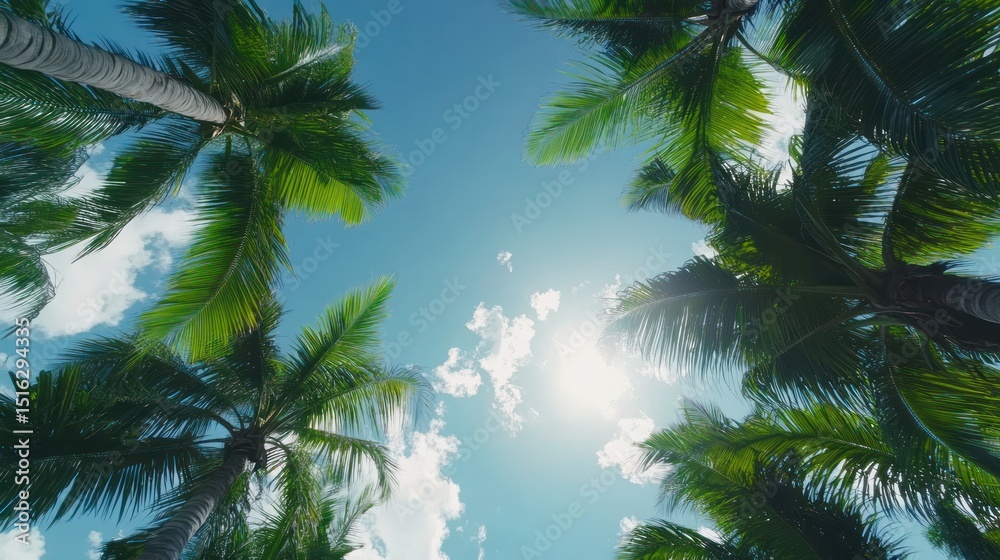Fototapeta premium Tropical canopy view featuring vibrant palm fronds against serene blue skies