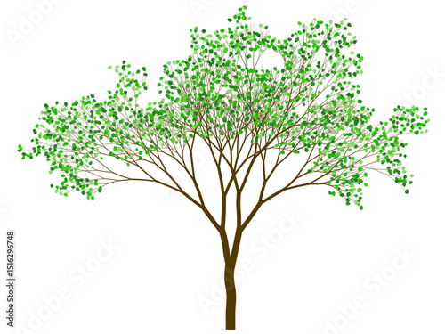 Tree with wide shape and green leaves. Binary fractal algorithmic design.
