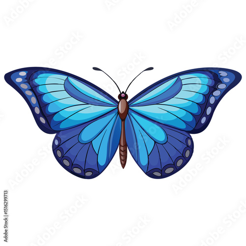 Azure Winged Beauty Graphics