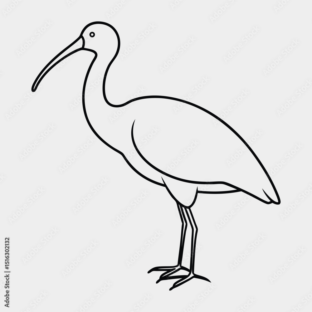 Fototapeta premium line art of a glossy-ibis on the white background 01.eps