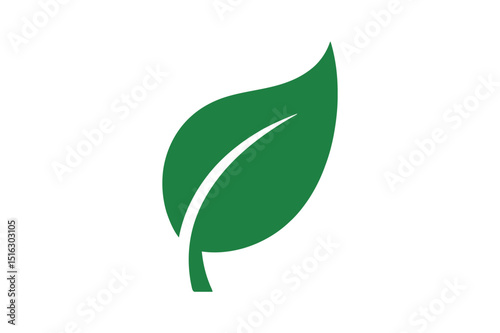 green leaf isolated