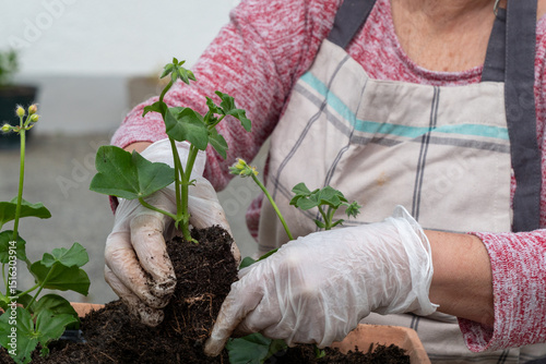 Woman is planting a plant in a pot. She is wearing gloves and an apron