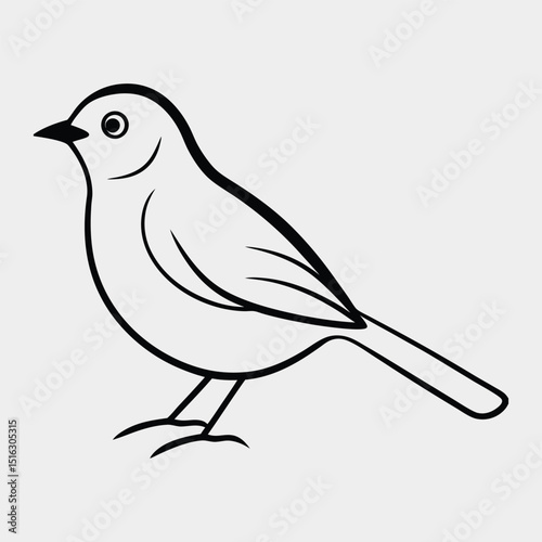 vector illustration of a bird