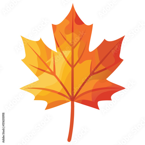 Autumn Maple Leaves Illustration