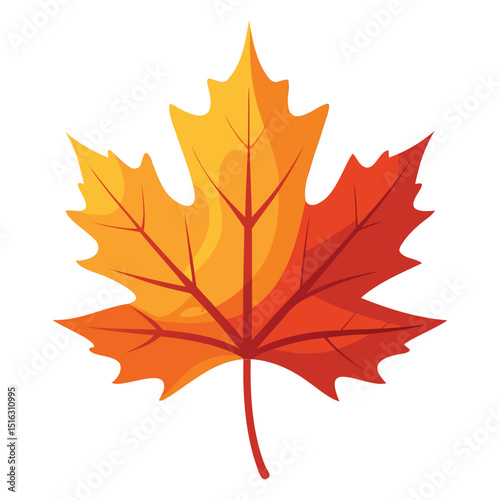 Autumn Maple Leaves Illustration