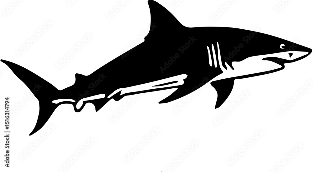 Obraz premium shark vector illustration
