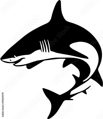 shark vector illustration