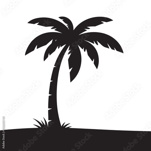 silhouette of palm trees