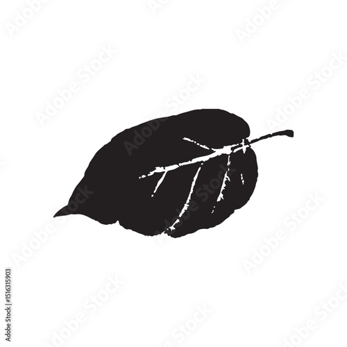 leaf on white background silhouette