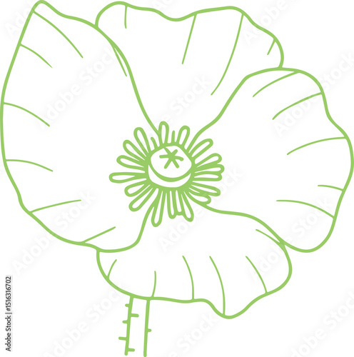 POPPY FLOWER VECTOR TRANSPARENT ICONS