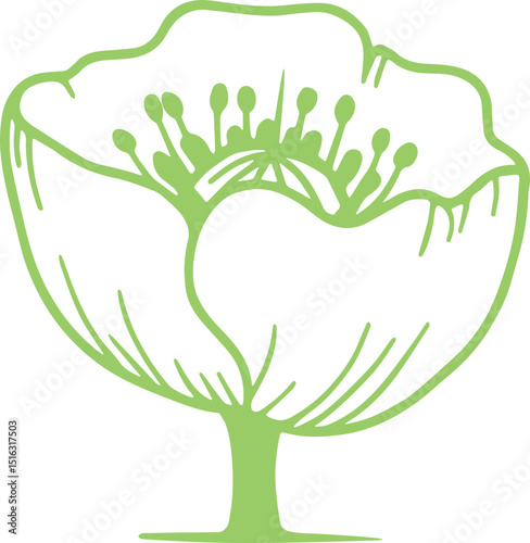 POPPY FLOWER VECTOR TRANSPARENT ICONS