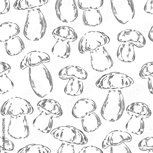 Mushrooms, cep. Seamless vector pattern, monochrome contours on white. Hand drawn illustration. Perfect for design templates, wallpaper, wrapping, fabric, print and textile. 