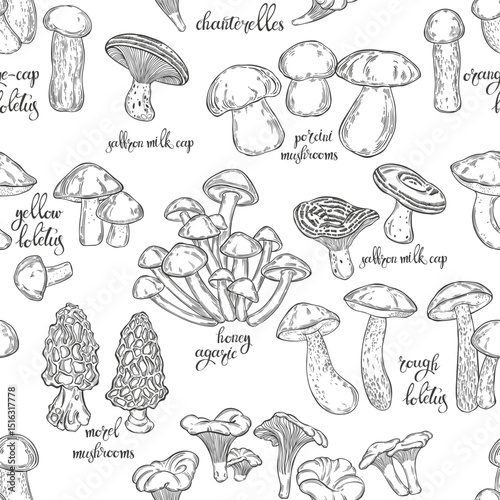 Mushrooms and their title. Seamless vector pattern on white. Hand drawn illustration. Perfect for design templates, wallpaper, wrapping, fabric, print and textile. Black and white.