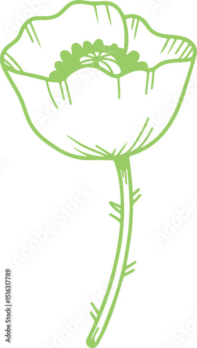 POPPY FLOWER VECTOR TRANSPARENT ICONS