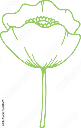 POPPY FLOWER VECTOR TRANSPARENT ICONS