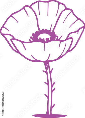 POPPY FLOWER VECTOR TRANSPARENT ICONS