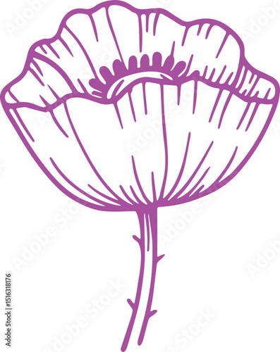 POPPY FLOWER VECTOR TRANSPARENT ICONS