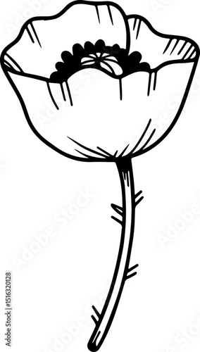 POPPY FLOWER ICON OUTLINE TRANSPARENT VECTOR