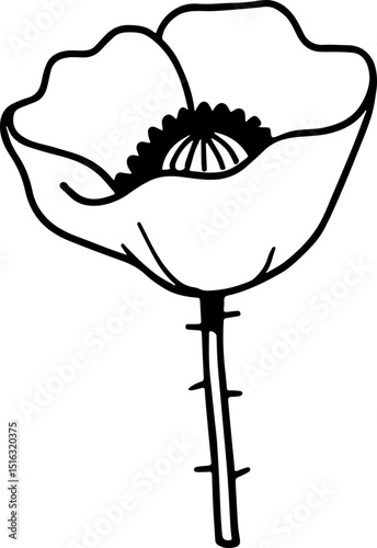 POPPY FLOWER ICON OUTLINE TRANSPARENT VECTOR