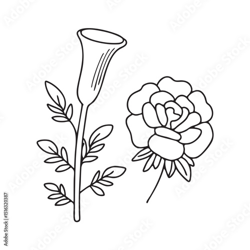 A trumpet vine beside a blooming rose bush