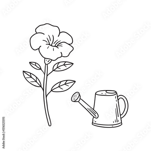 A trumpet vine next to a garden watering can