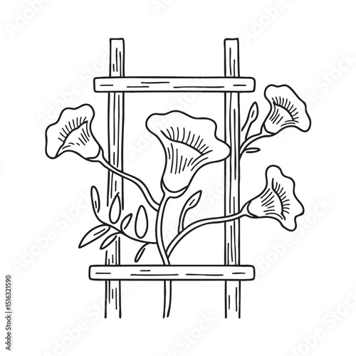 A trumpet vine growing up a garden trellis