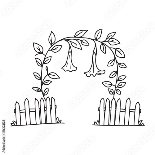 A trumpet vine hanging over a garden gate