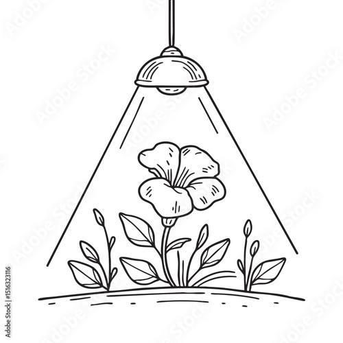 A trumpet vine under a garden lamp