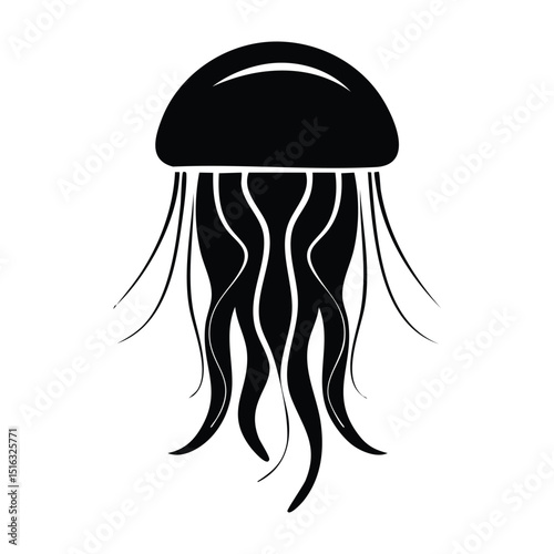 jellyfish on white background,vector illustration of a jellyfish