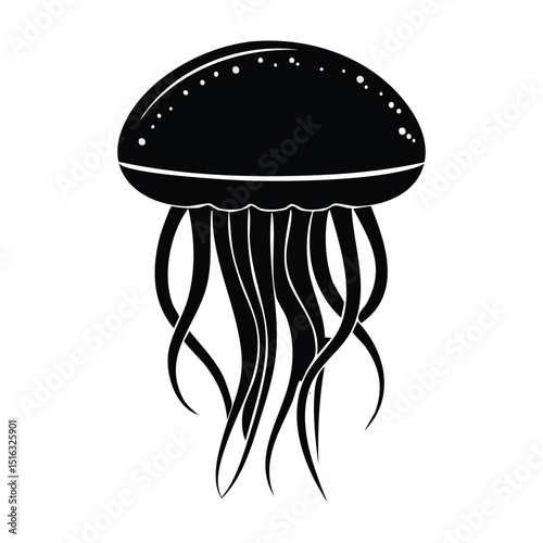 jellyfish on white background,vector illustration of a jellyfish
