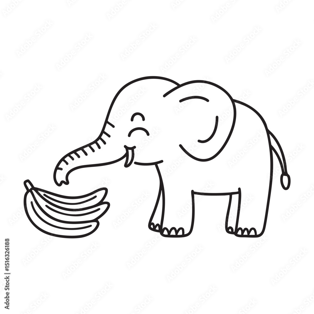 Fototapeta premium A trunk of an elephant grabs a bunch banana