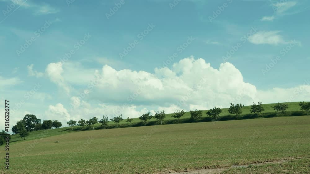 Weite Wiese mit grünen Bäumen unter einem strahlend blauen Himmel, durchzogen von weißen Wolken. Eine friedliche Naturszene voller Ruhe, Frische und sommerlicher Leichtigkeit.
