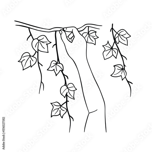 Hand reaching upward touching ivy illustration in minimalist black and white design