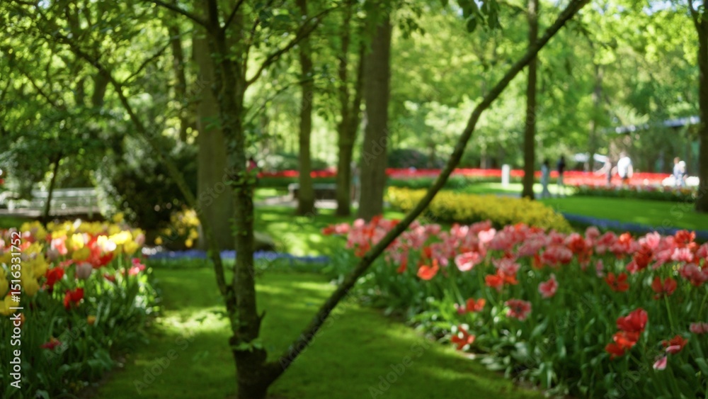 Obraz premium Blurred scene in a green park with colorful flowers featuring tulips and trees under sunlight in spring, where people are walking in the background out of focus.