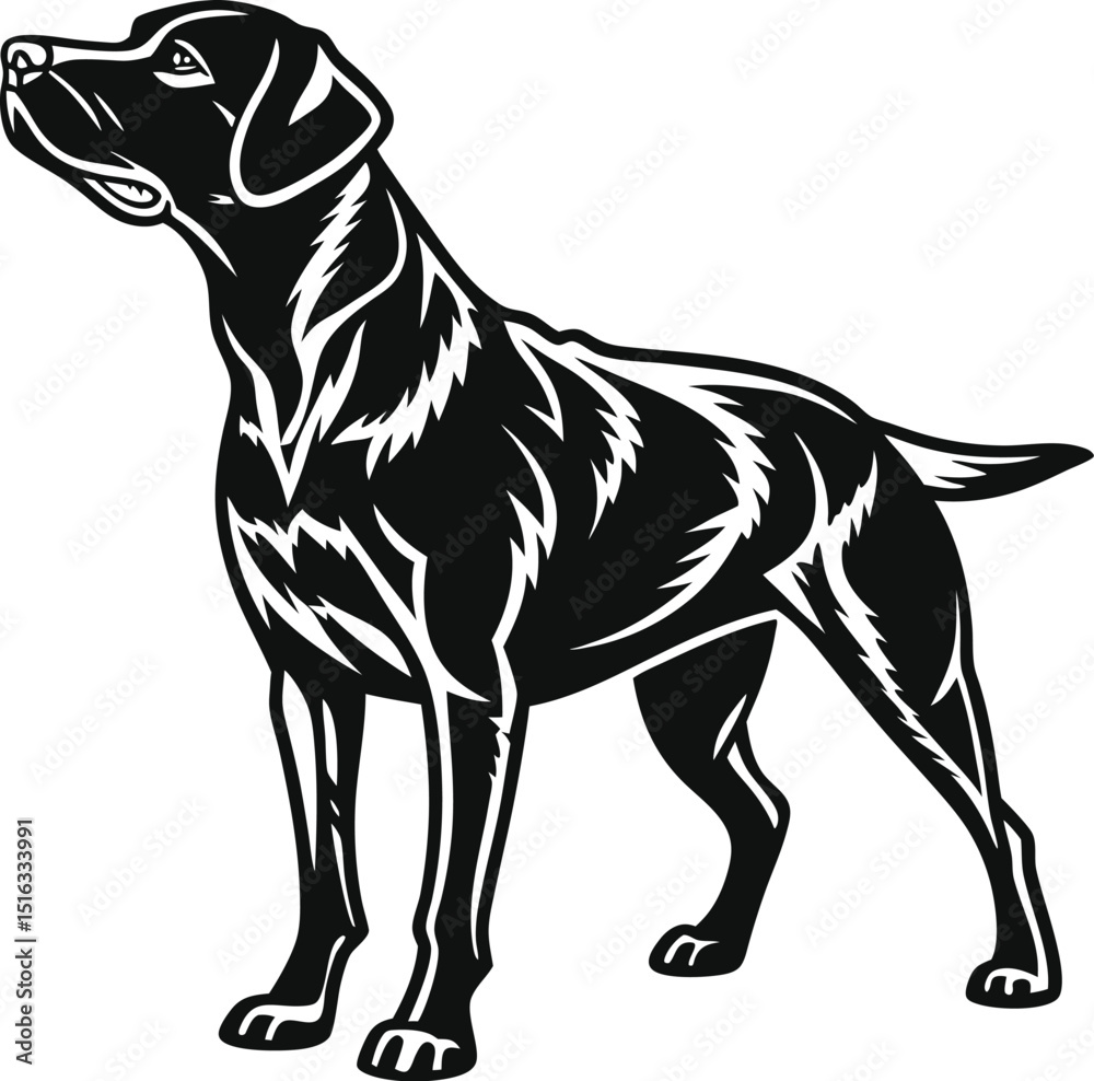 Fototapeta premium great dane dog silhouette vector icon