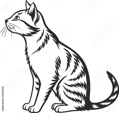 black cat vector illustration
