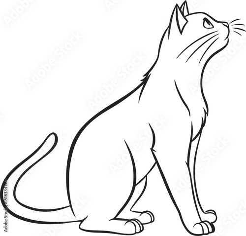 vector illustration of a cat