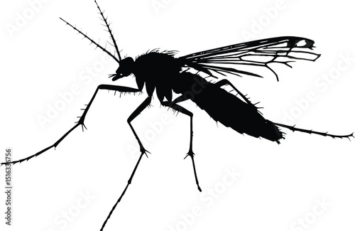 A striking silhouette of a mosquito against a stark white backdrop in a high contrast black and white image