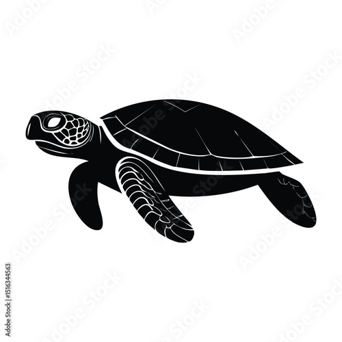 sea turtle vector illustration