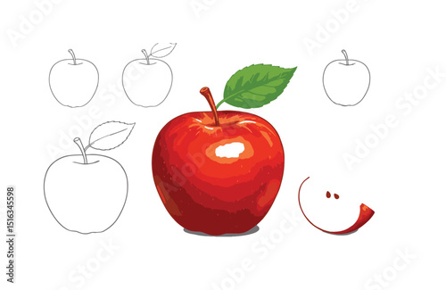 Learn to Draw a Realistic Apple Step-by-Step Guide with Sketches and Illustrations