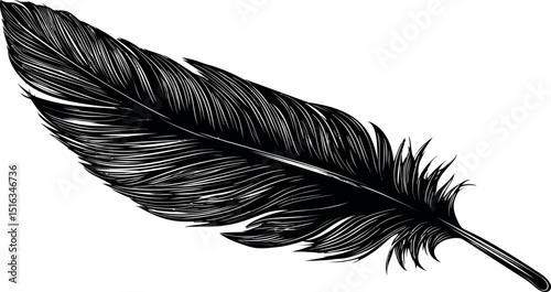 Detailed black and white illustration of a single feather. Vector illustration