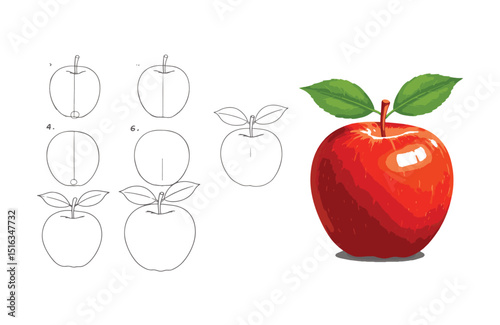 Step-by-Step Apple Drawing Tutorial From Sketch to Realistic Illustration