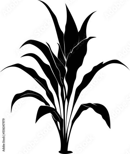 Silhouette of a tall leafy plant with elongated leaves in black and white vector art. Vector illustration