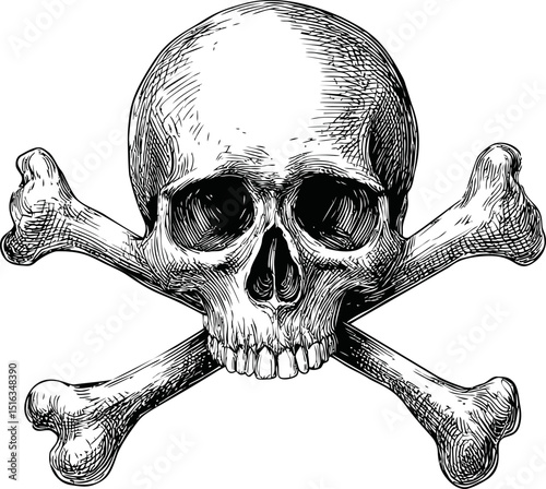 Black and white drawing of a skull and crossbones, detailed illustration. Vector illustration