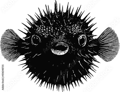 Black and white illustration of a spiky pufferfish with detailed fins and face. Vector illustration