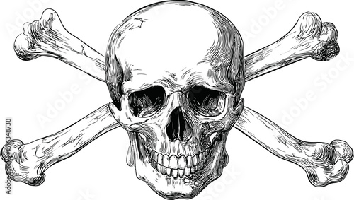 Detailed skull and crossbones illustration, black and white, pirate symbol. Vector illustration