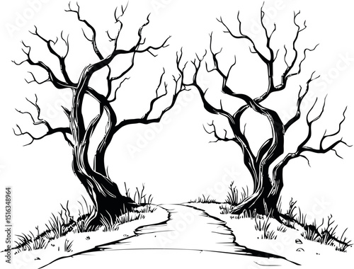 Two twisted barren trees lining a path in black and white illustration. Vector illustration